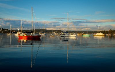 Discovering the Hidden Gems of Lake Macquarie