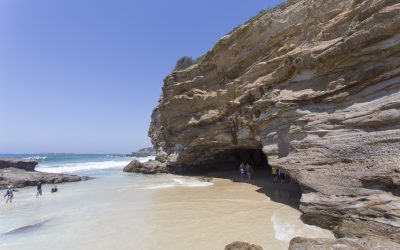 Exploring Caves Beach: A Local’s Guide to the Sea Caves and Coastal Walk
